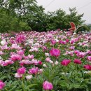 함박공원 입구 이미지