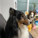 우방크리닝 이미지