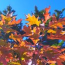 신신마트 이미지