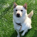 개버랜드 이미지