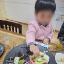 장수버섯 이미지