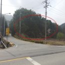 오뚜기제유(주) | 충청북도 음성군 생극면 병암리 산14 경매 임야 .2017 타경 30565