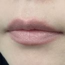 러브허니 | (내돈내산) 맥 매트 립스틱 허니러브 (토인색 솔직후기)