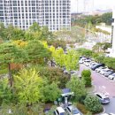 서구청 옥상생태공원 이미지