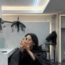 (주)케이씨엠 | 방배동레이어드컷 비주얼살롱 서초방배점 복구염색💆‍♀️