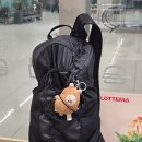 제주버스터미널 (동산교방면) | 제주 눈꽃버스타고 어리목 영실코스 당일치기 (1월 눈꽃)