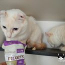 호텔엘린 이미지