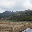 팔봉산 주차장 이미지