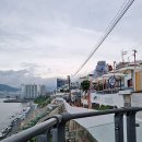 게으른고양이 이미지