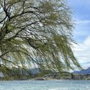 웨스트메도우 이미지