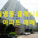 호원대학부속유치원 이미지