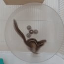 유로통신 이미지