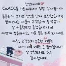 주얼리 쇼핑몰 Co.ACC 실버 악세사리 후기