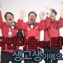 새누리 유치원 머니투데이