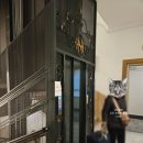 (주)에이노드 | 로마 Termini역 근처 숙소 추천 호텔 노르드 누오바 0.5박 솔직 후기