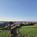 한동리만두 이미지