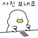 보경이네 이미지