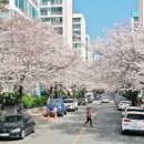 남천2동 이미지