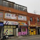 THE수영헤어