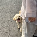 [템플스테이]뚜벅이도 가능한 서울 템플스테이 석불사 체험형 후기