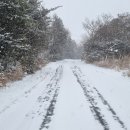 물영아리오름 이미지