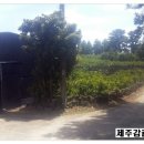 지우네 농장 이미지