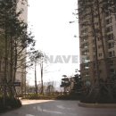 신세계부동산써브공인중개사사무소 이미지