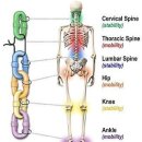 피앤피짐 이미지