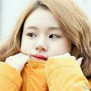 혹시 Daum카페