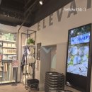 노브랜드 남양주화도2점 | [남양주] 모던하우스 남양주화도점 25ss 여름맞이 소품구입 방문