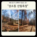 산내로 | 대전 가볼 만한 곳, 동구 상소동 산림욕장 방문 후기