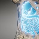 일산윌내과의원 이미지