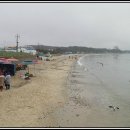 장터수산 - 안산시 상록구 정재로3길 5 | 장터수산
