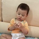 십자로 | [육아기록] 17개월 아기 쪽쪽이 끊기 시작｜결국 십자로 자름