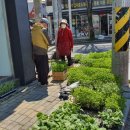 남면오일시장 이미지