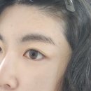 본담채 | [선정릉, 강남구청] 피씨엘코리아 담채눈썹 후기 (눈썹 숱많은 분들 꼭 보세요!)