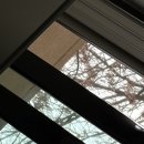 두개더짐 | 3월 보통날 (2)