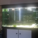 수조 이미지