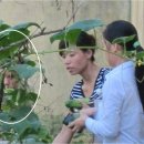 BALBARI(발바리) 이미지