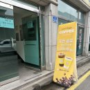 셀럽도기 이미지