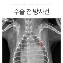공감+동물의료센터 이미지