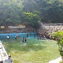 깨끗한환경 이미지