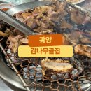 감나무골집 | [광양] 광영동 닭숯불구이 맛집, 감나무골집 후기