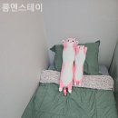 룸앤스테이 - 622 | 룸앤스테이