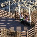 대진해상공원 이미지