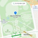 [잠실] 프리다이빙 체험 원데이 클래스 후기 (다이브팀 스머프)