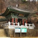 인천도매정육