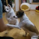 오복펜션 이미지