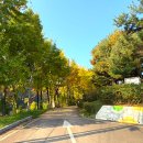 초록산 산림욕장 1 이미지