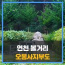 오봉사지부도 | 연천 볼거리 오봉사지부도 승려사리탑